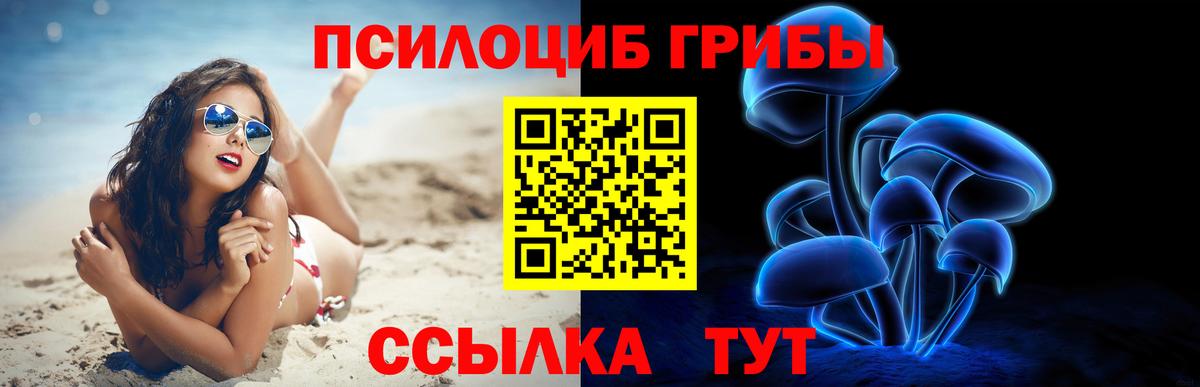 Псилоцибиновые грибы Psilocybine cubensis Ухта